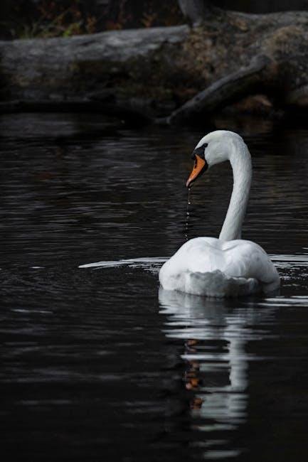 Understanding the Composition of Bird Droppings and Its Impact on Paint
